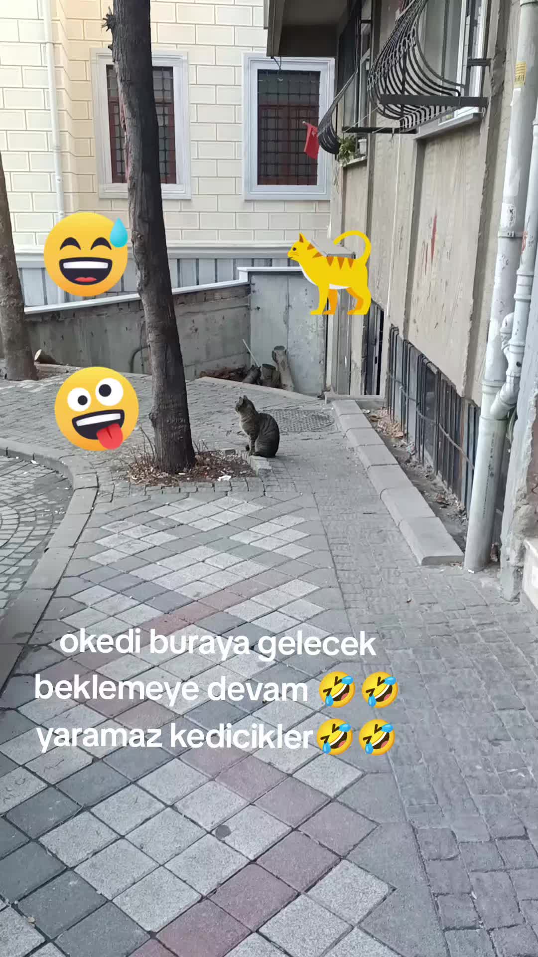 @ERCAN😉😚😉🚘🚘🚘🚘