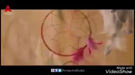 @megha