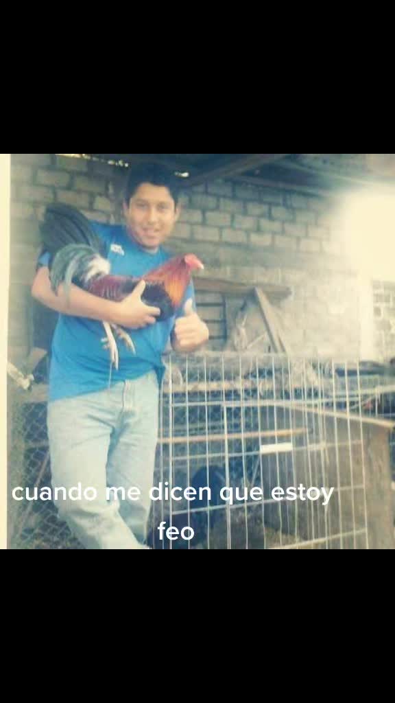 @jesus ivan