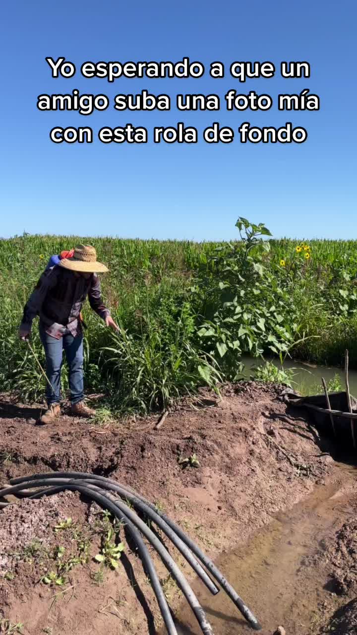 @Elpedrito19