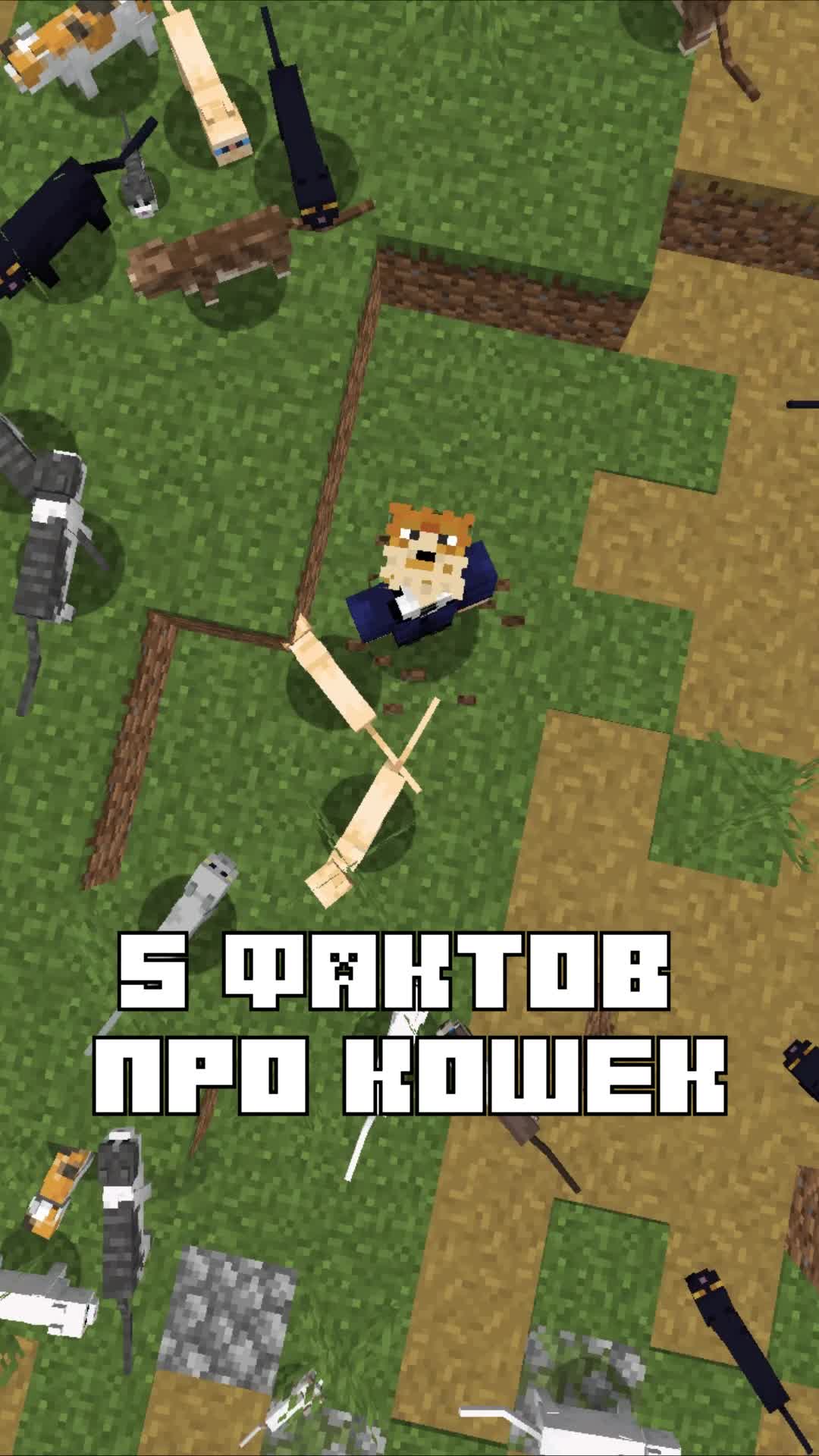 @Фуга