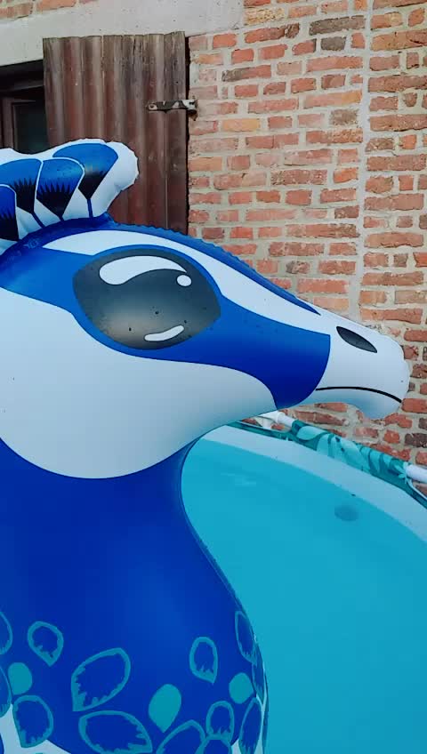 @user4070396009381