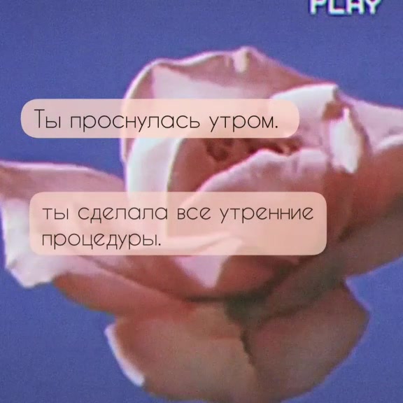 @🌷❌ТВОЙ CRASH❌🌷