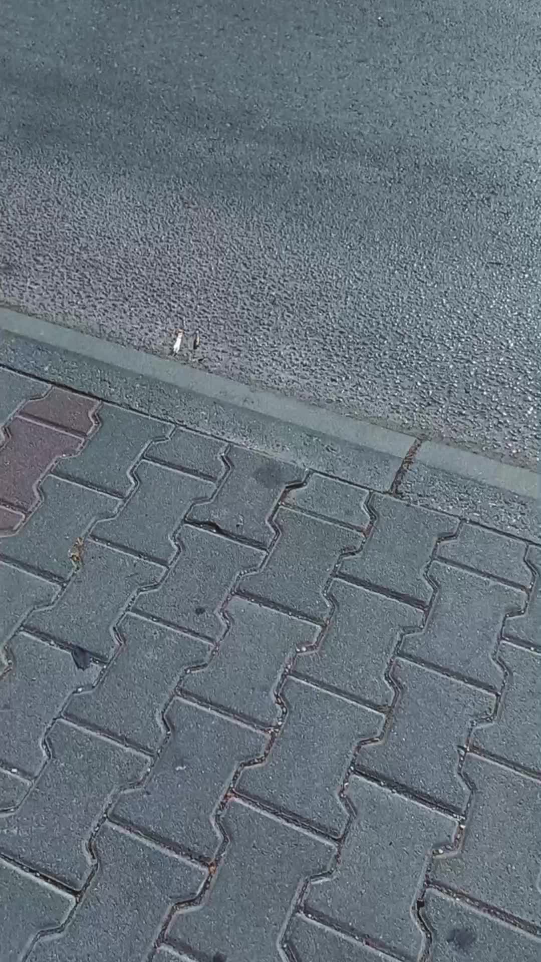 @⚪️КАЛУ🔴