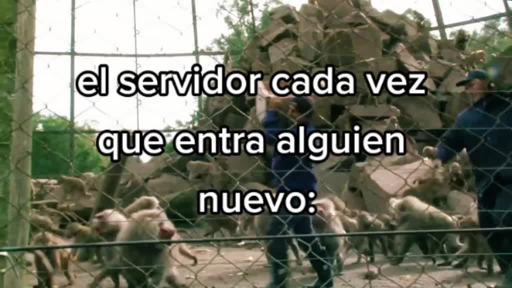 @rolhetaliano