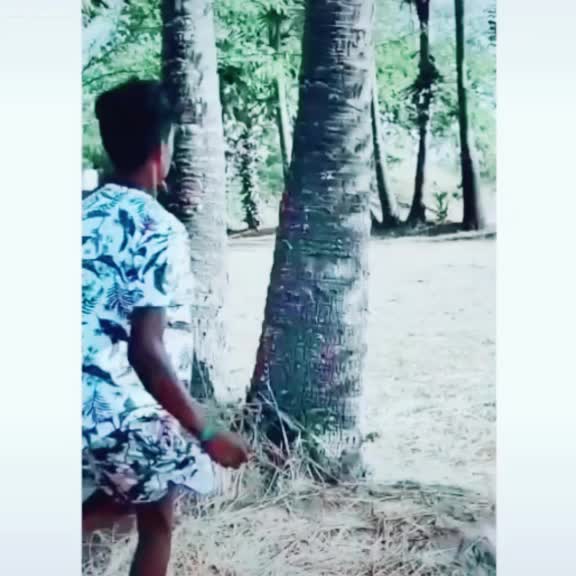 @tiktok indian