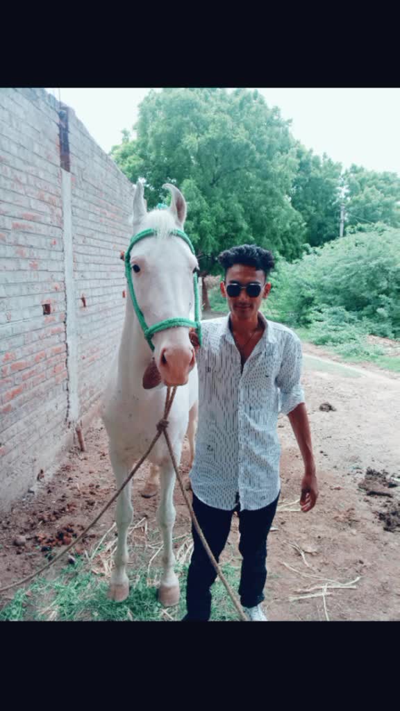 @Aaisu Sindhi 395
