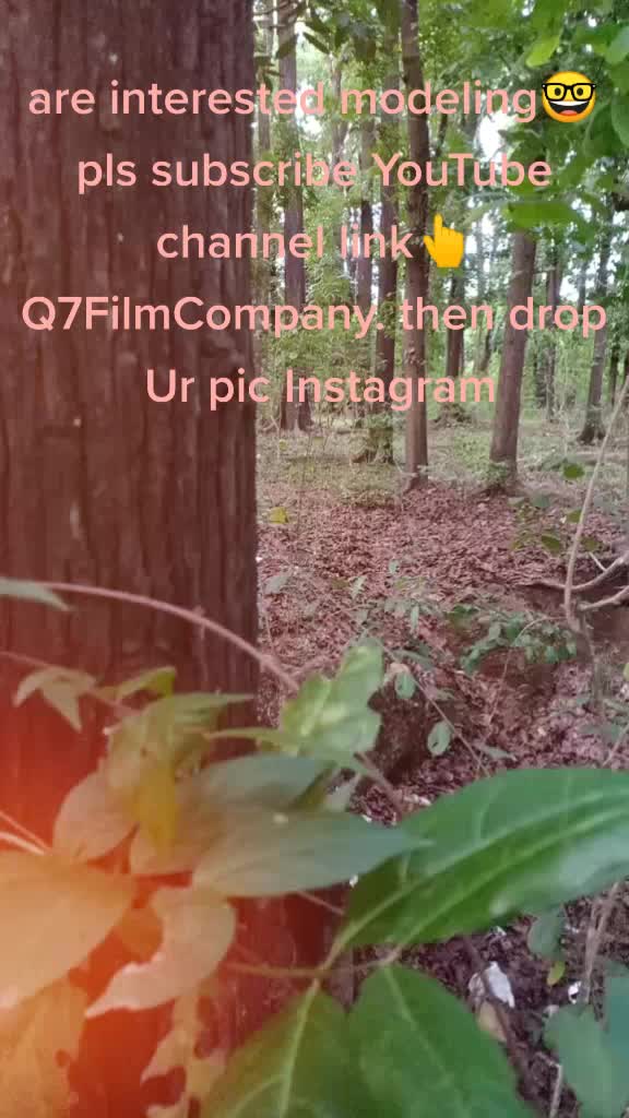 @vipinklasagar