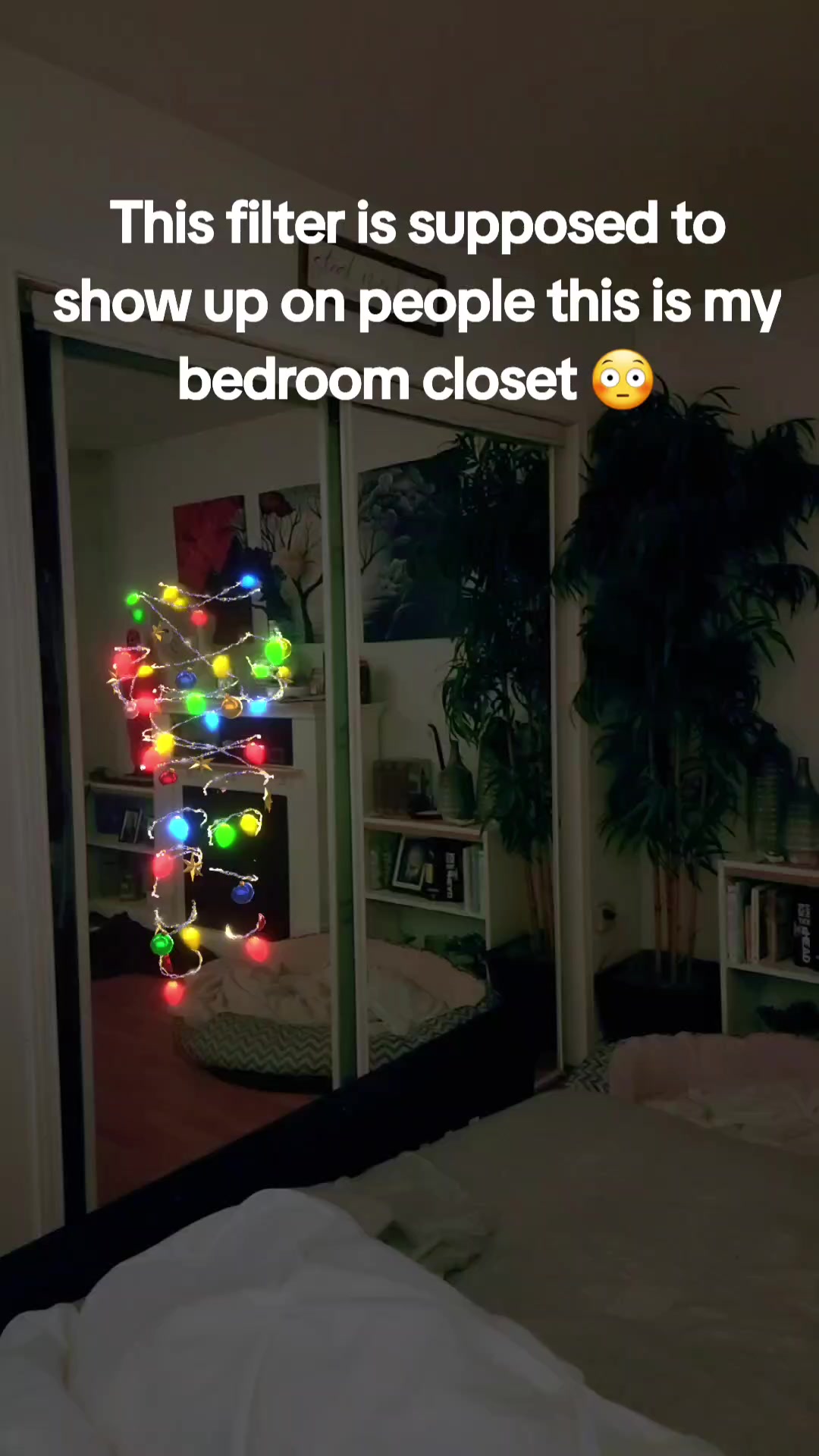 @Kittyk38🇨🇦