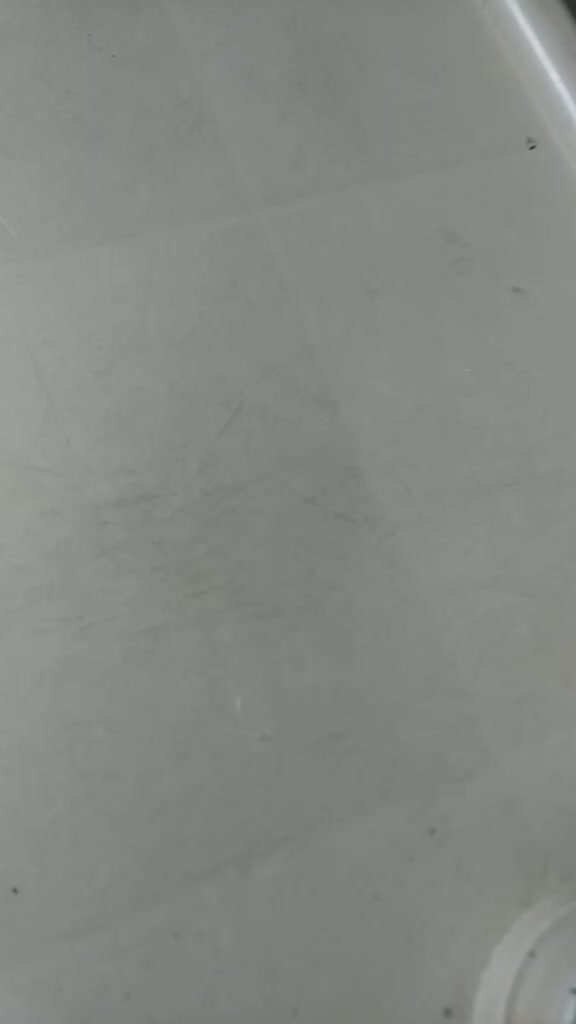 @user73474016338