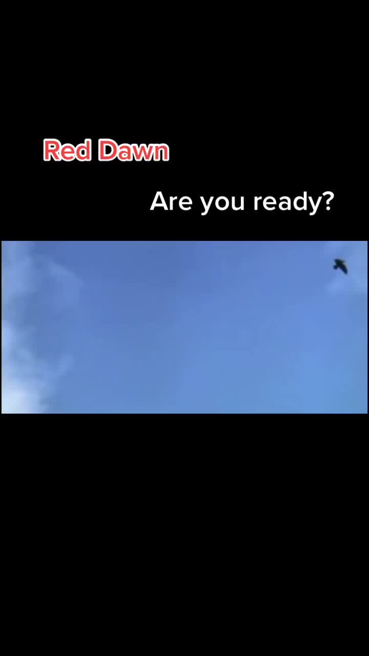 @Amyvet1977🇺🇸😎✨️