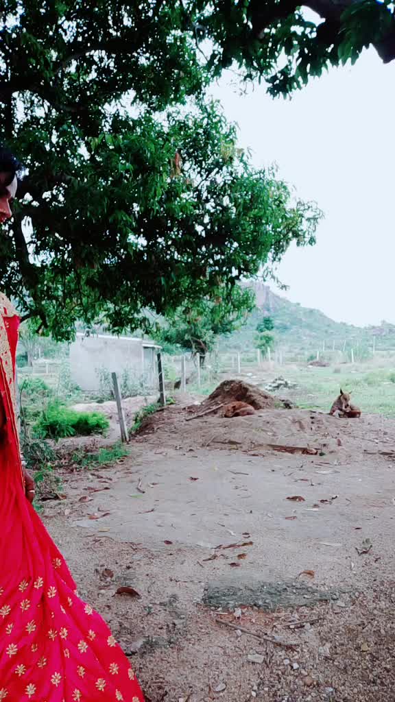@Nandini Nandini