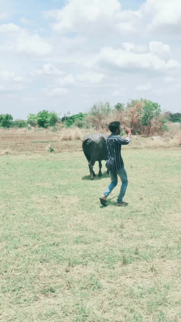 @Sankoju Saikumar