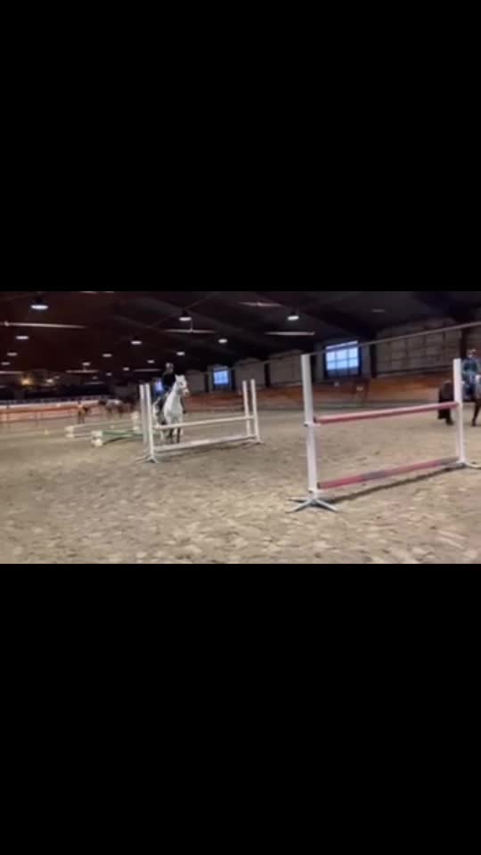 @Horses♡