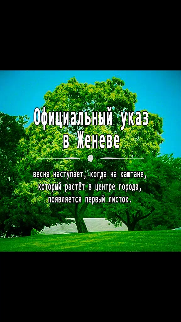 @Развлечение+Развитие