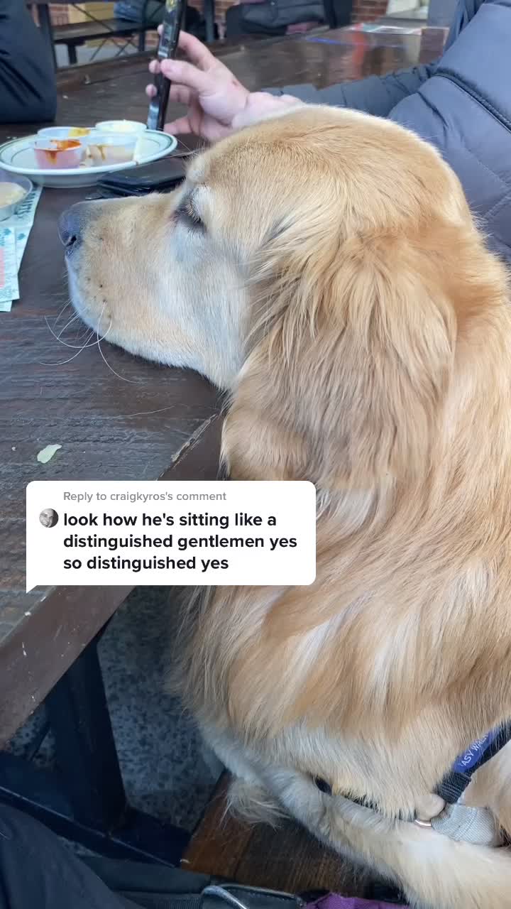 @handsomebarley