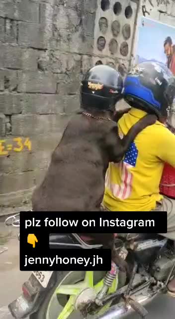 @Shruthika