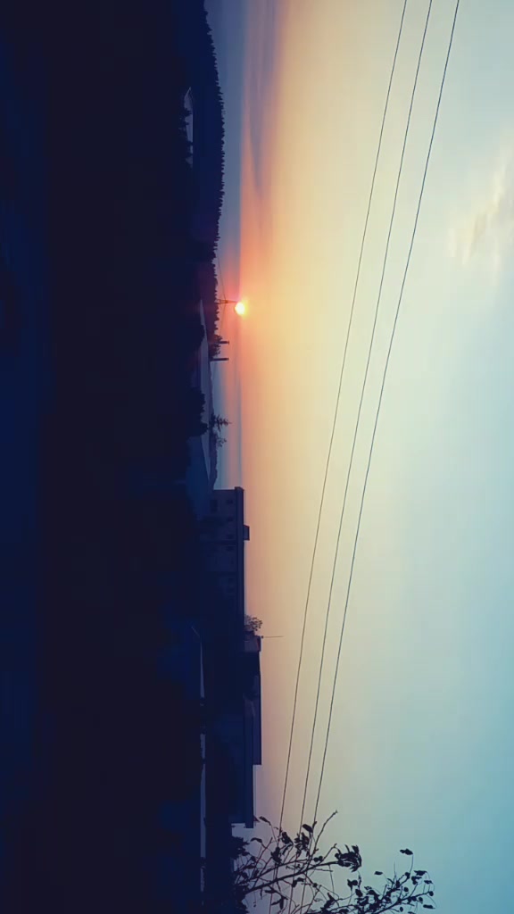 @Ayşe Üzüm