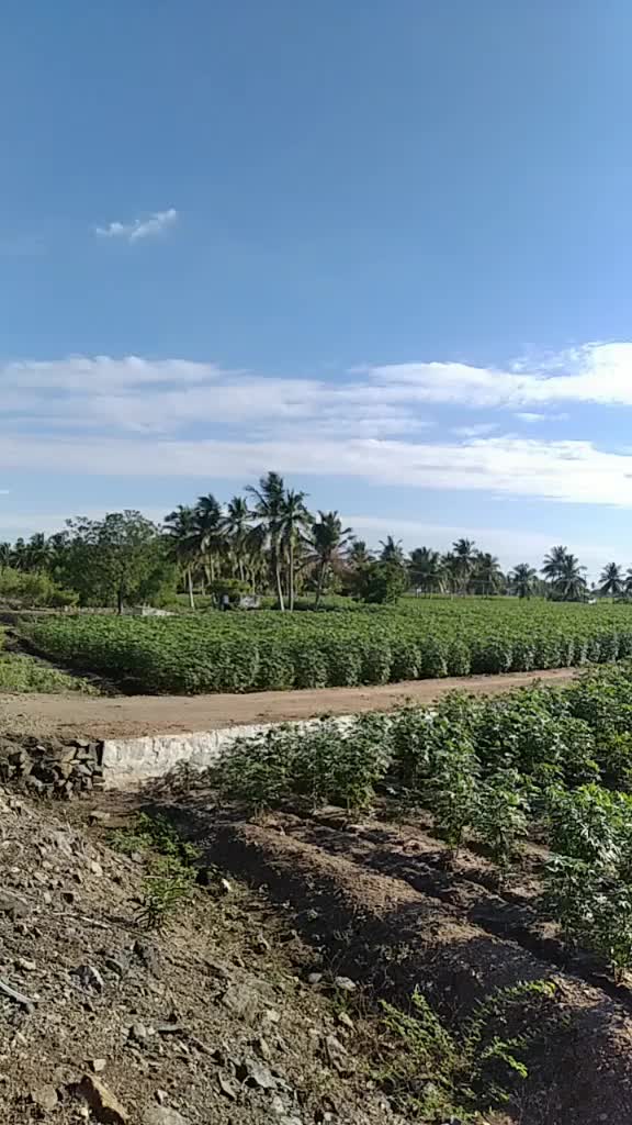 @Arunkumar