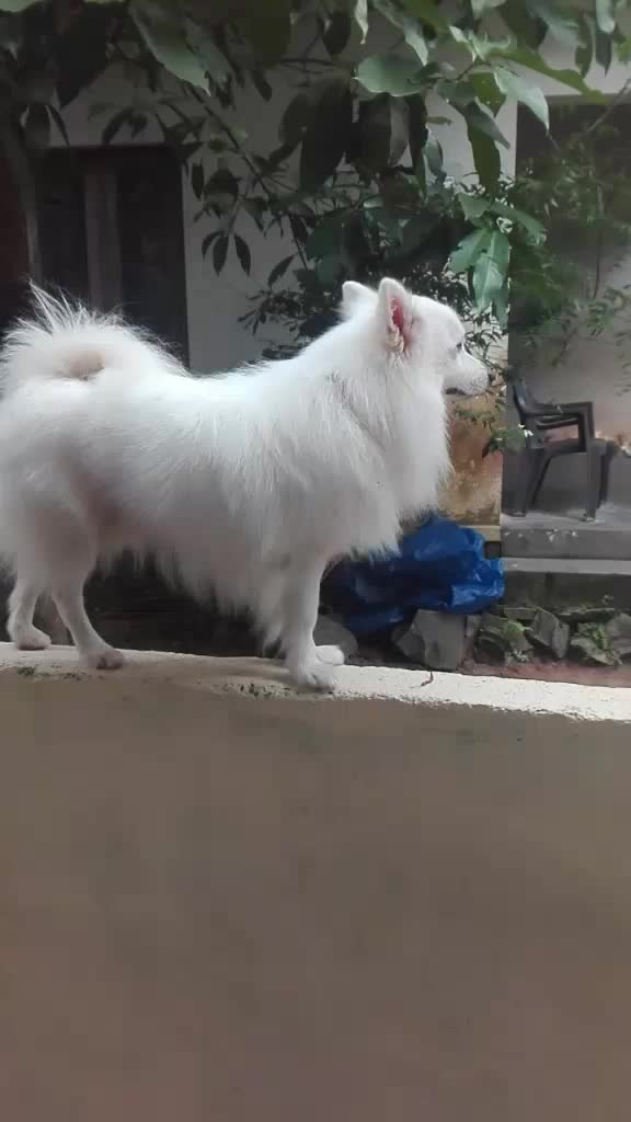@Meera meeru