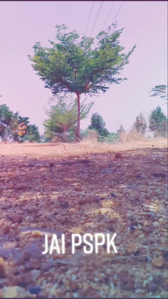 @Ramanjipspk