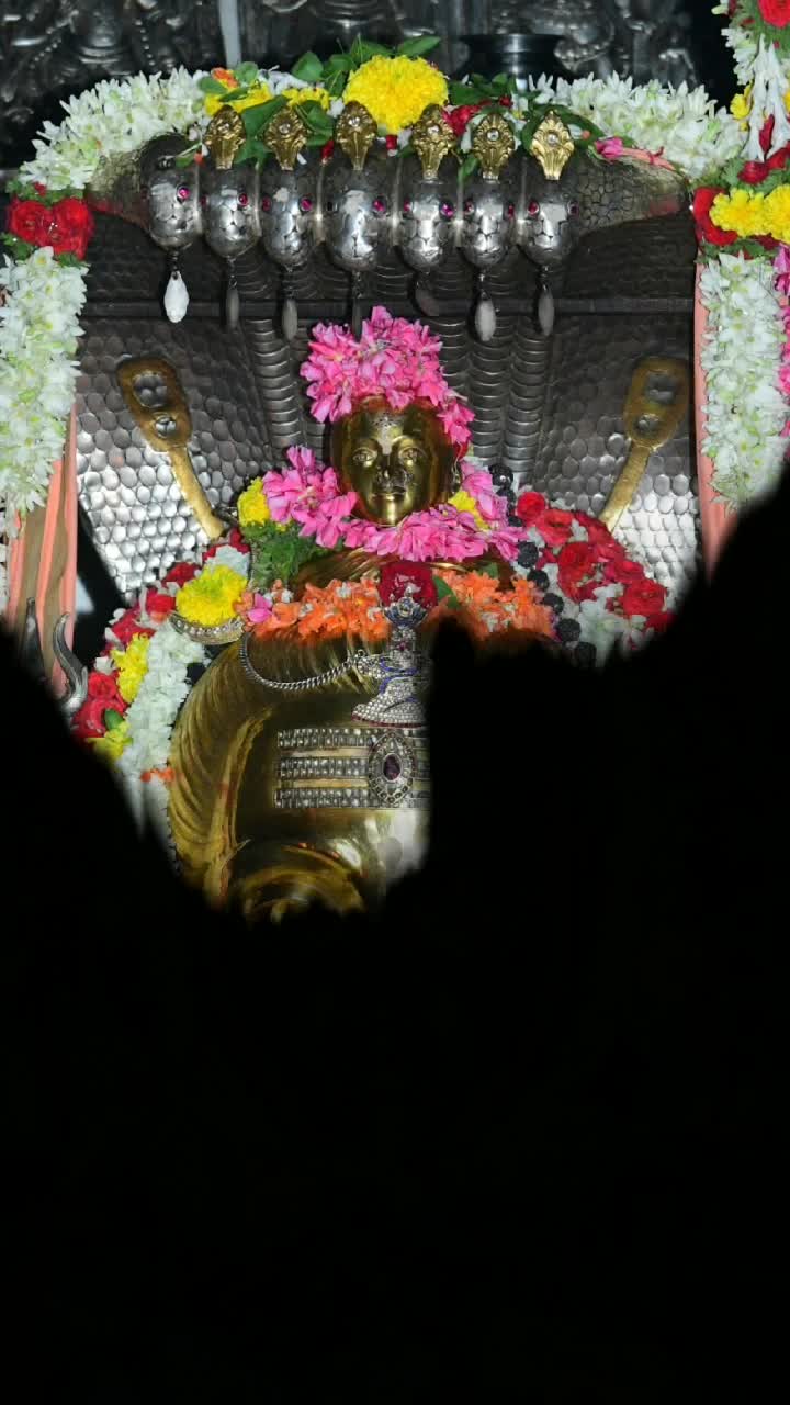 @Shashi Raj