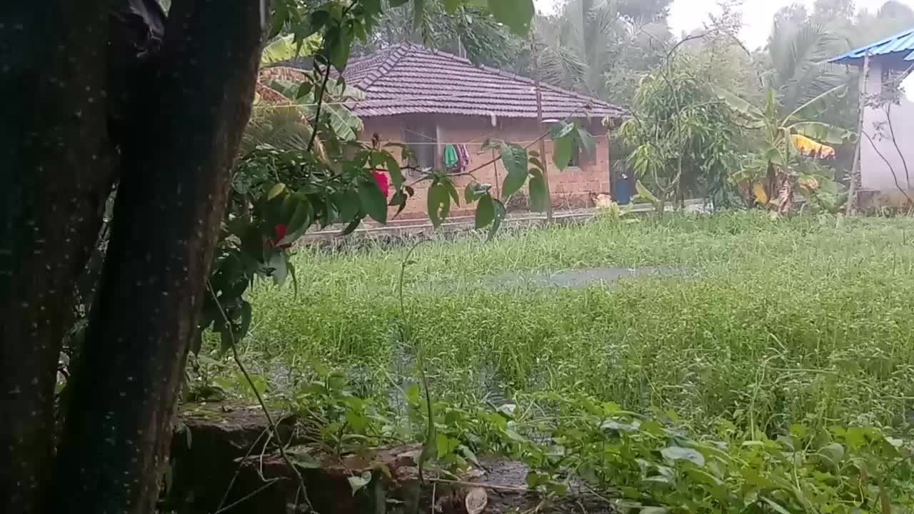 @call me മലയാളി