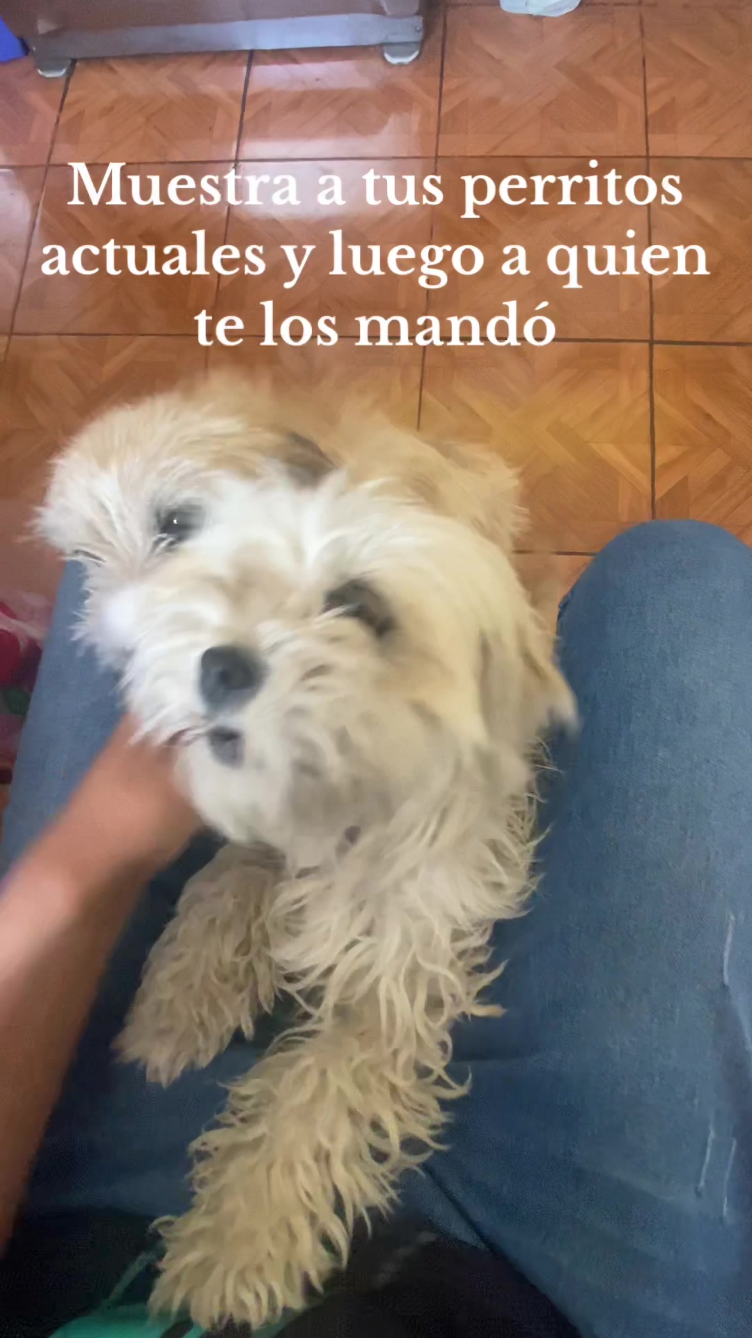 @NeLo 🦦