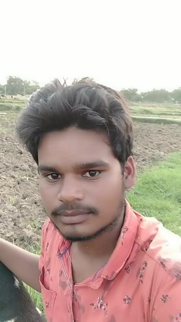 @P Shankar