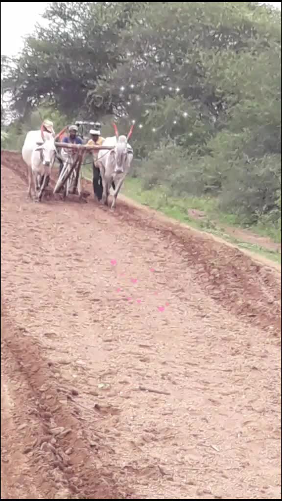 @Basavaraj S B