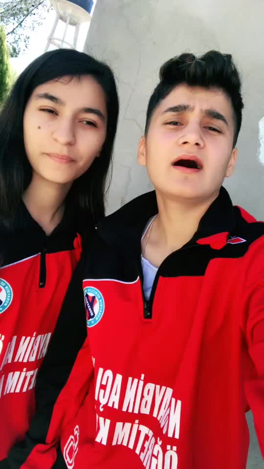 @Pelee6