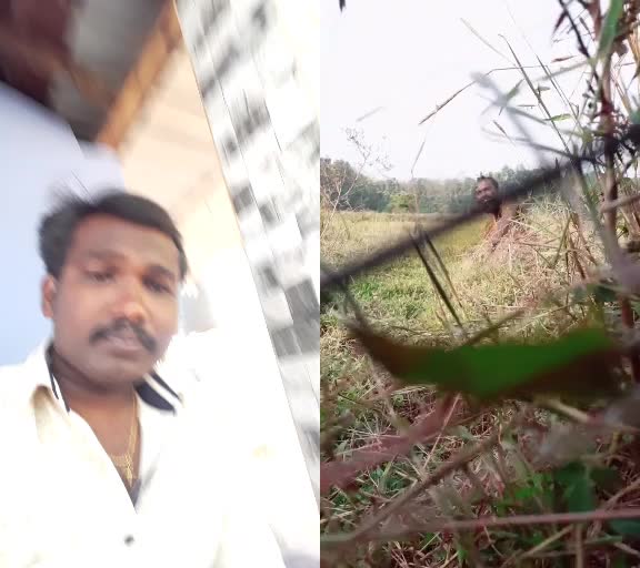@salil chenkara