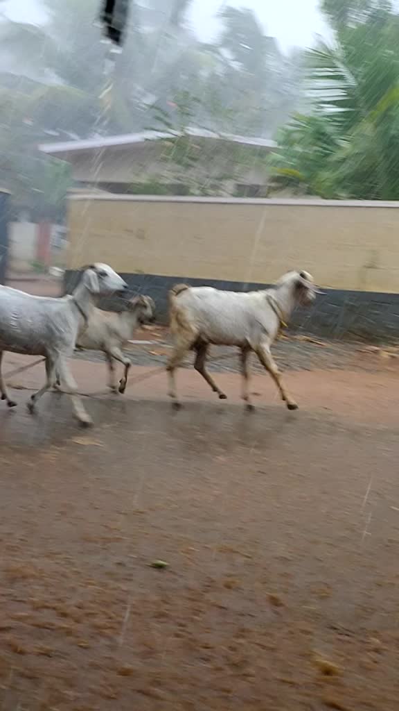 @Arjun puliyara