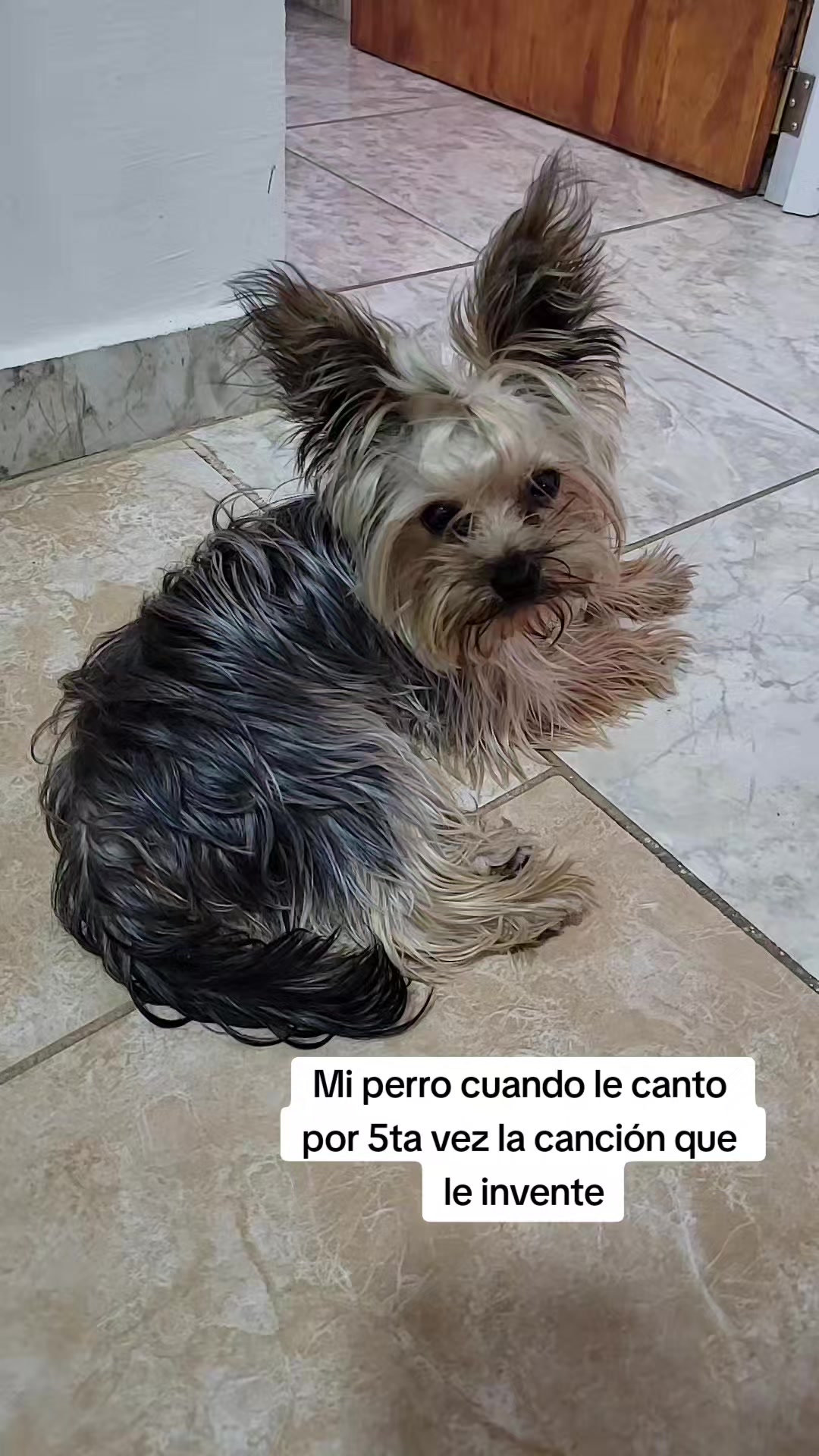 @burgosagustinamar