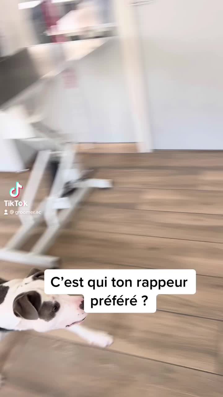 @Groomer ✃ 76