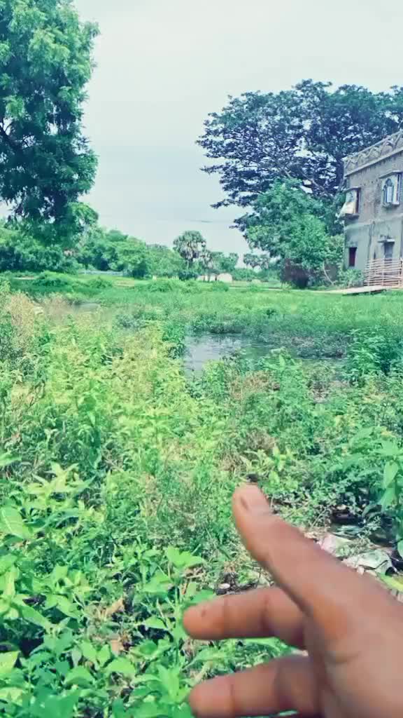 @꧁☆Ⓡⓐⓙⓔⓝ☆꧂