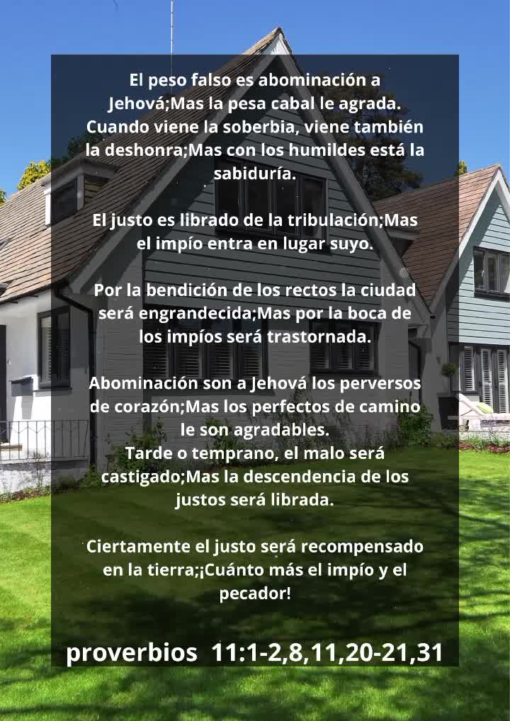 @Vicayquipa