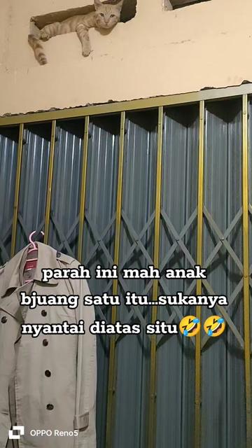 @Yennistore12