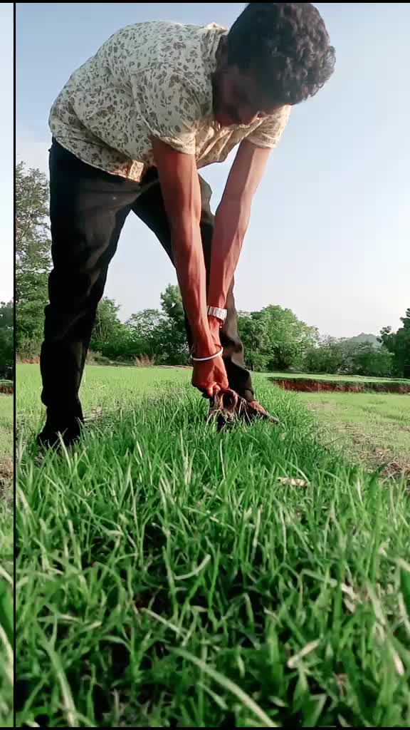 @Anji Ram Arelli
