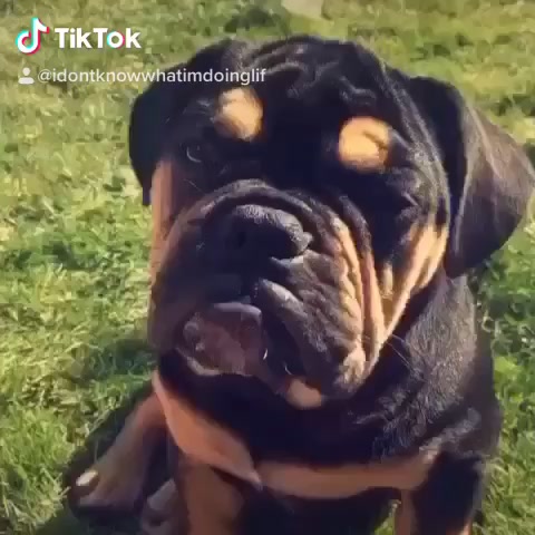@Don&rsquo;t look at my vid