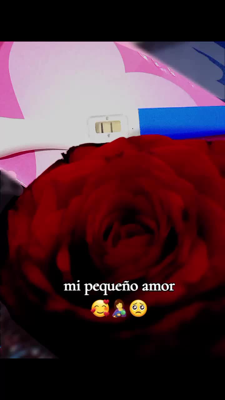 @Rosa 🌹