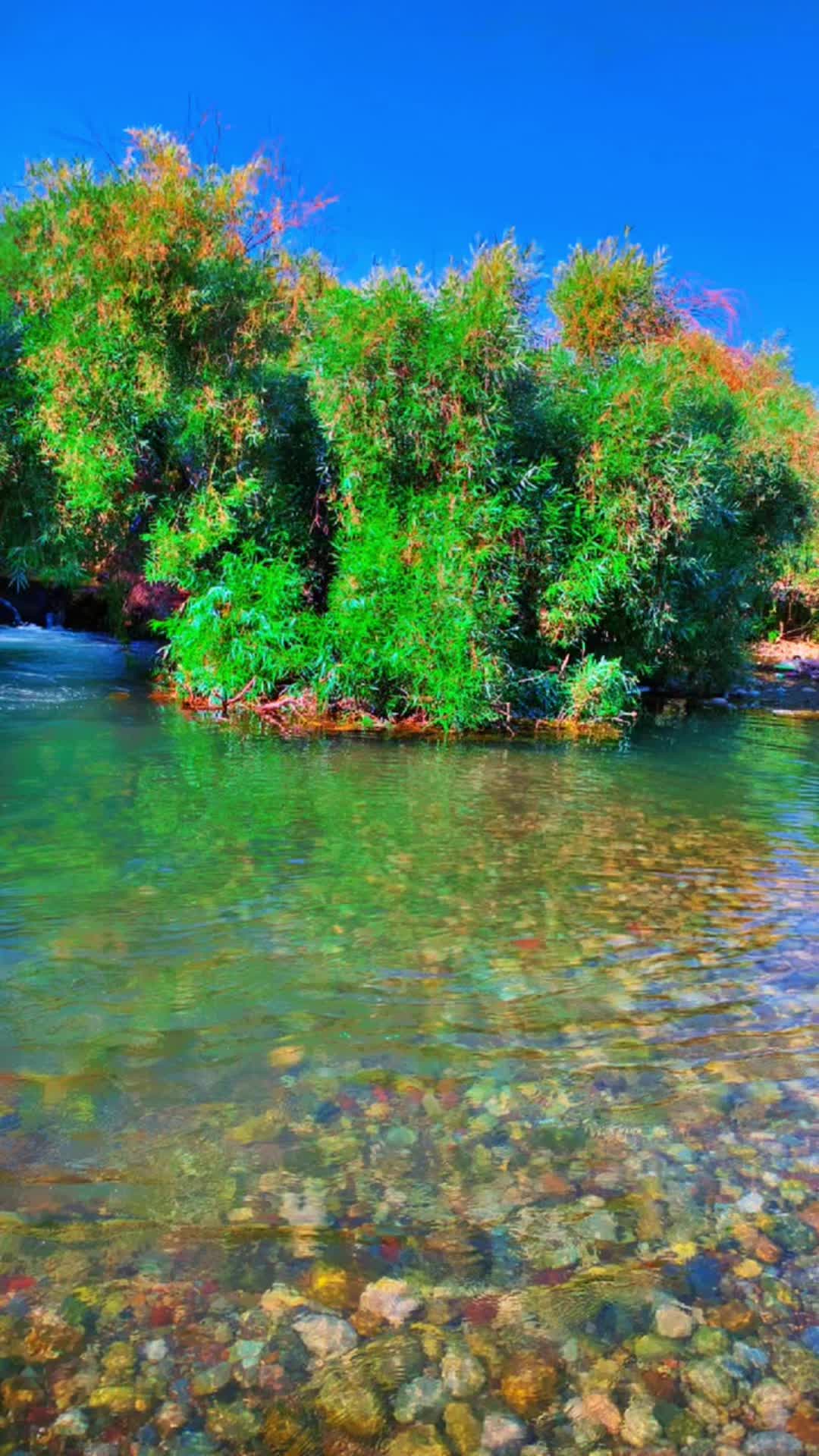 @Mahmud  f. Goran