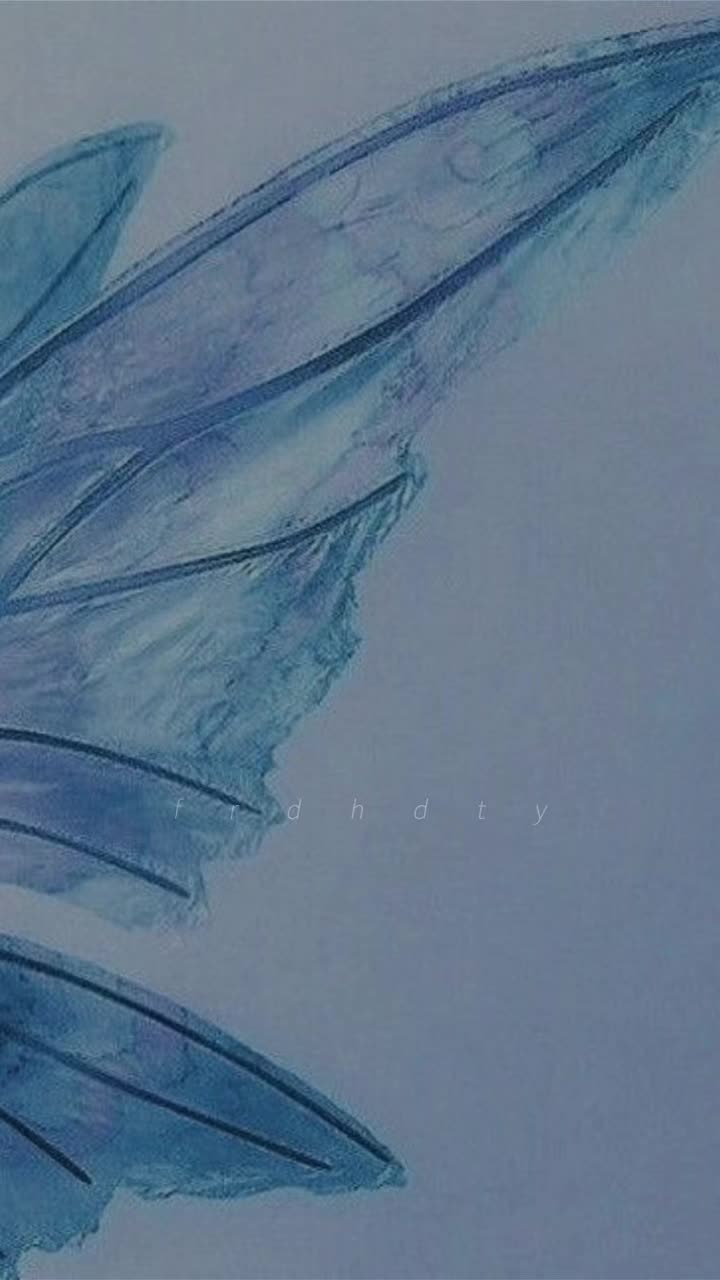 @frdhdty