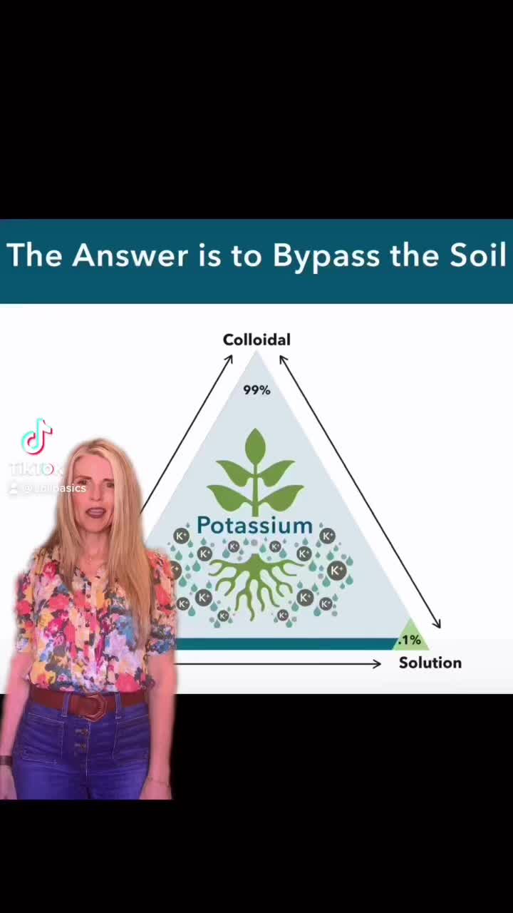 @soilbasics