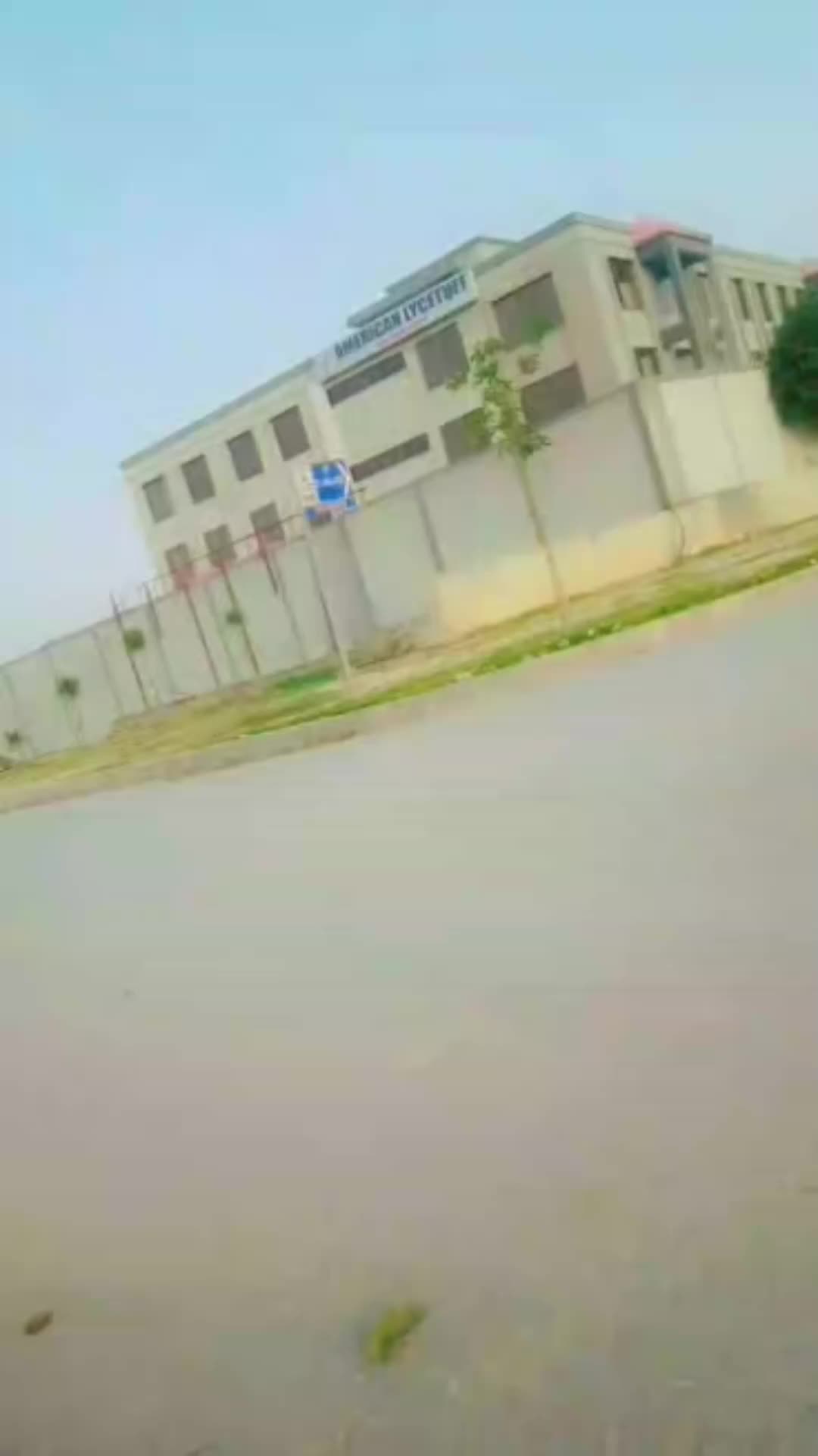 @shafeeq