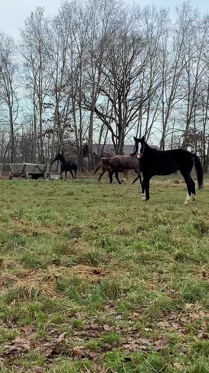 @W🦄