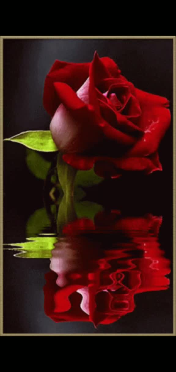 @purvi