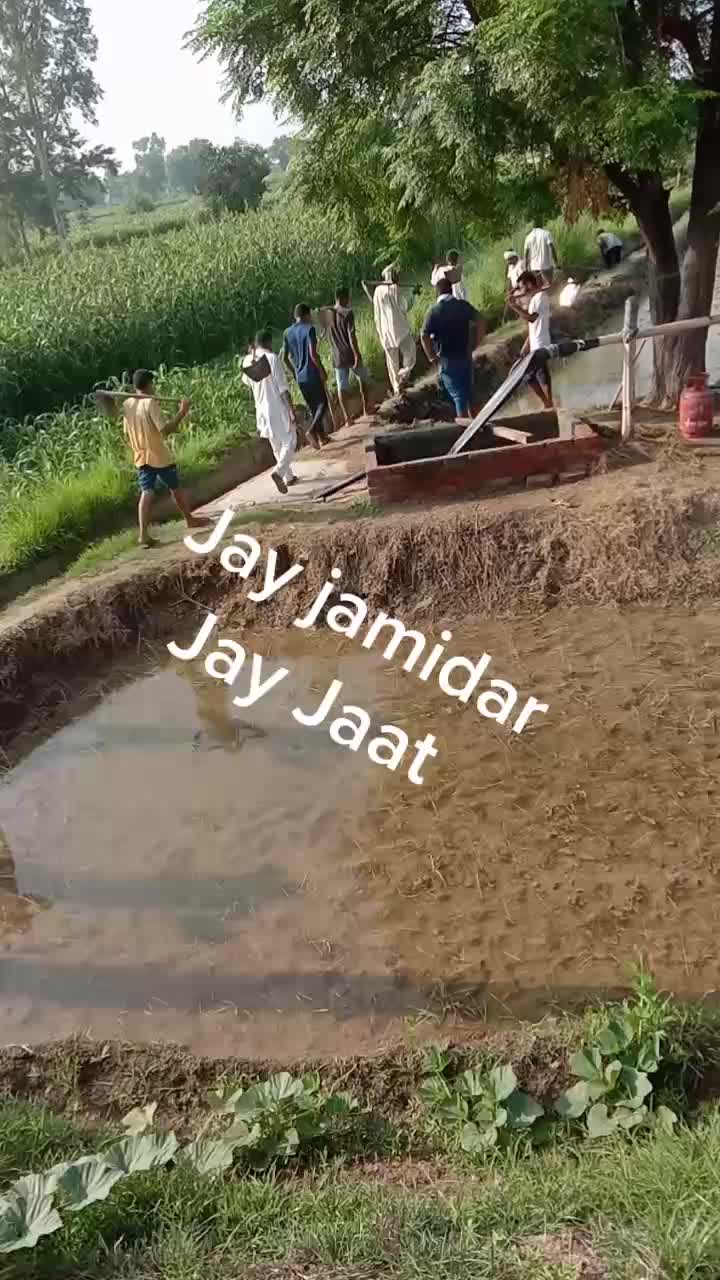 @Rohit. punia