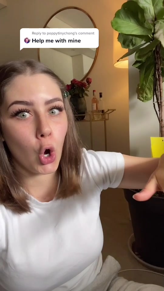 @KimmyG
