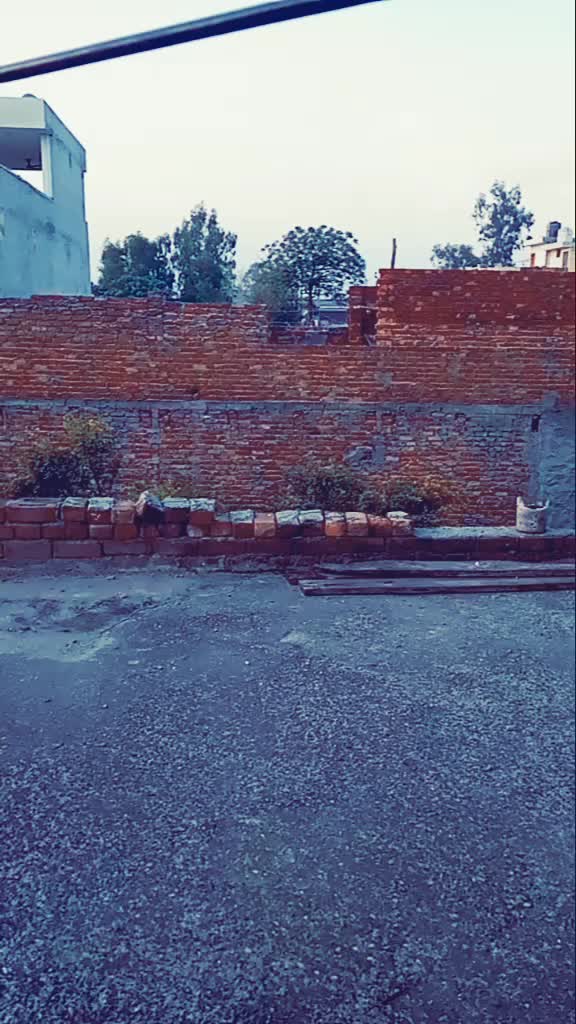 @palakgill